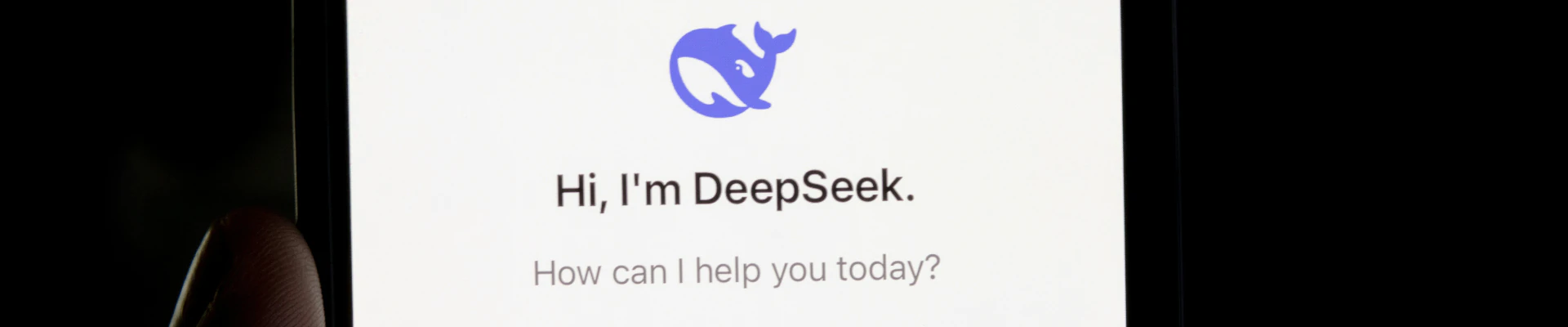 deepseek, imagem